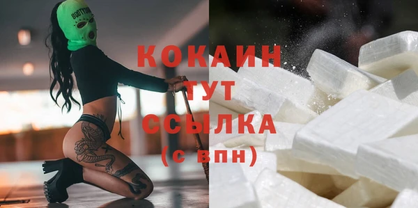 мет Алексин