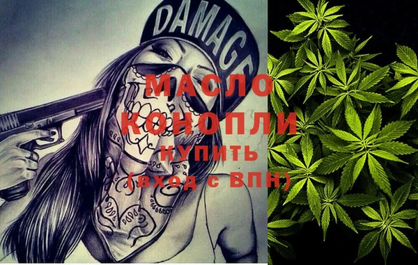 мет Алексин