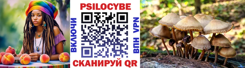 Галлюциногенные грибы мухоморы это наркотические препараты Пласт