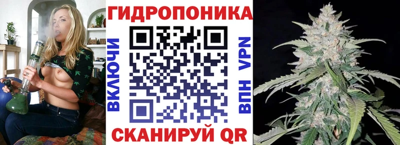 сколько стоит Пласт Каннабис Ganja